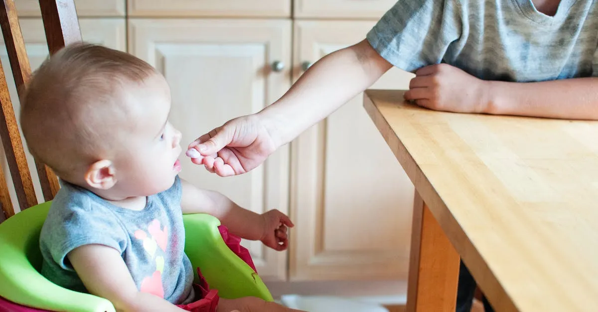 nourishing the future: a comprehensive guide to baby food