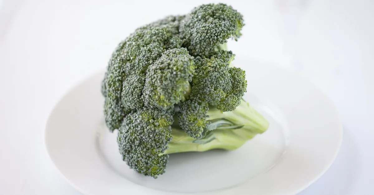 Healthy meal ideas for picky eaters